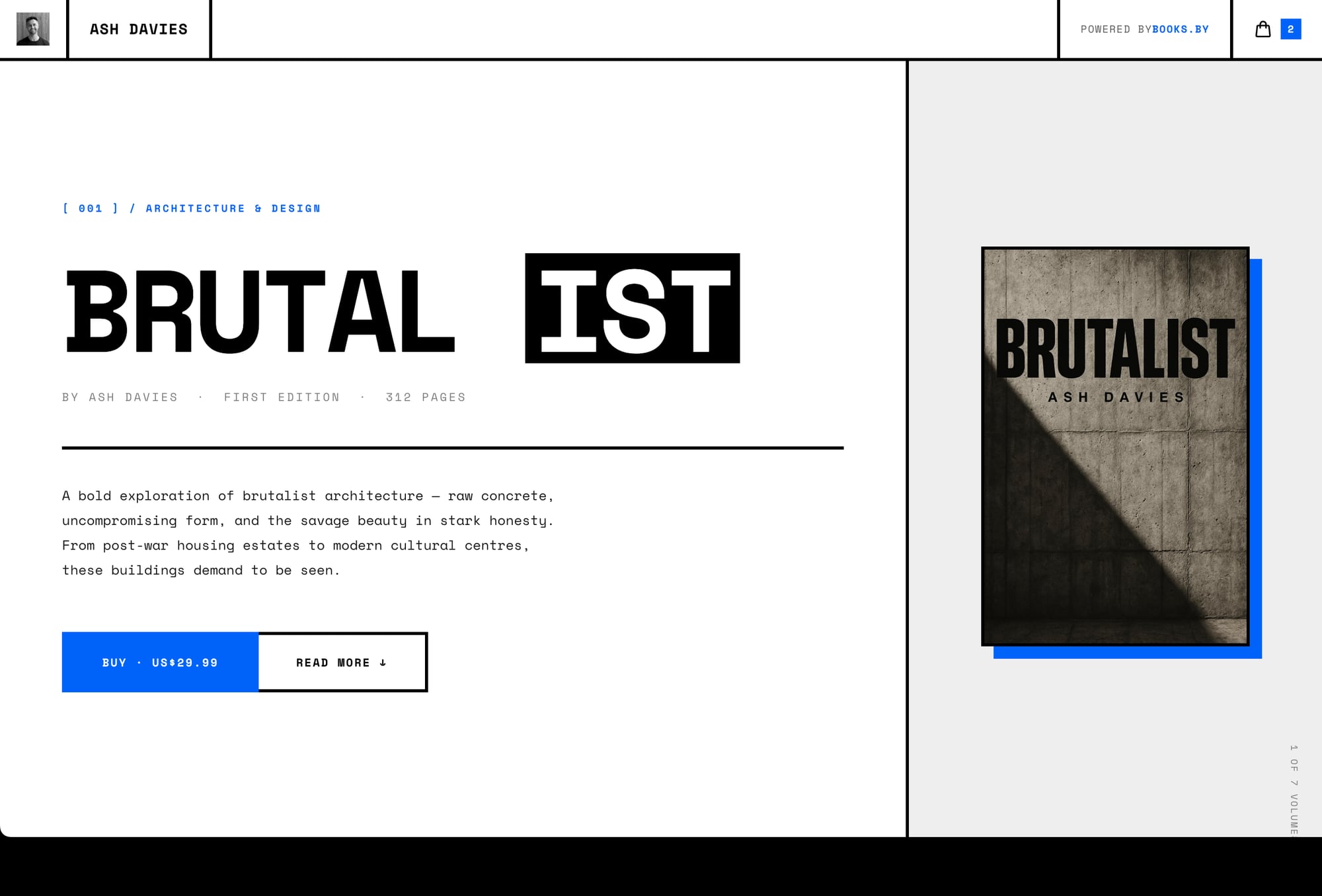 Brutalist storefront theme preview